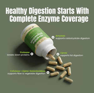 Digest by Body Wise promotional graphic