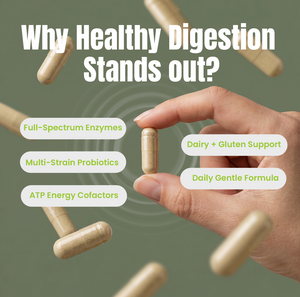 Digest by Body Wise promotional graphic