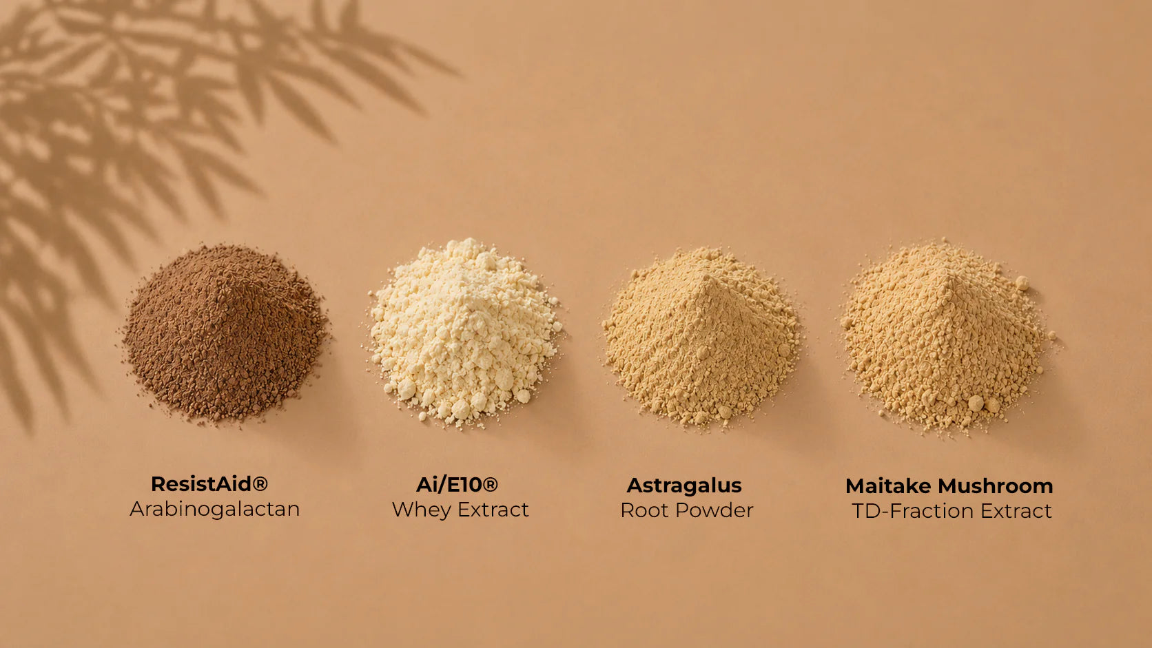 AGI by Body Wise