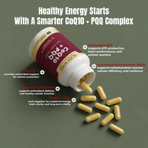 CoEnzyme Q10 + PQQ ingredient infographic