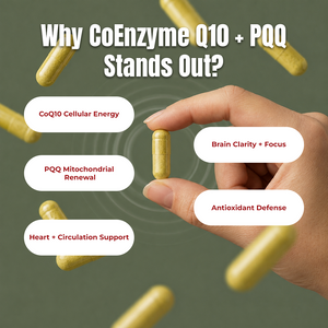 CoEnzyme Q10 + PQQ supplement facts infographic