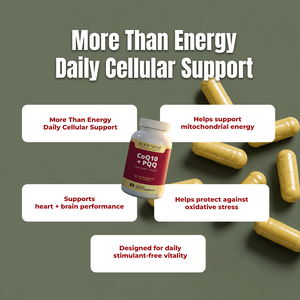 CoEnzyme Q10 + PQQ benefits infographic